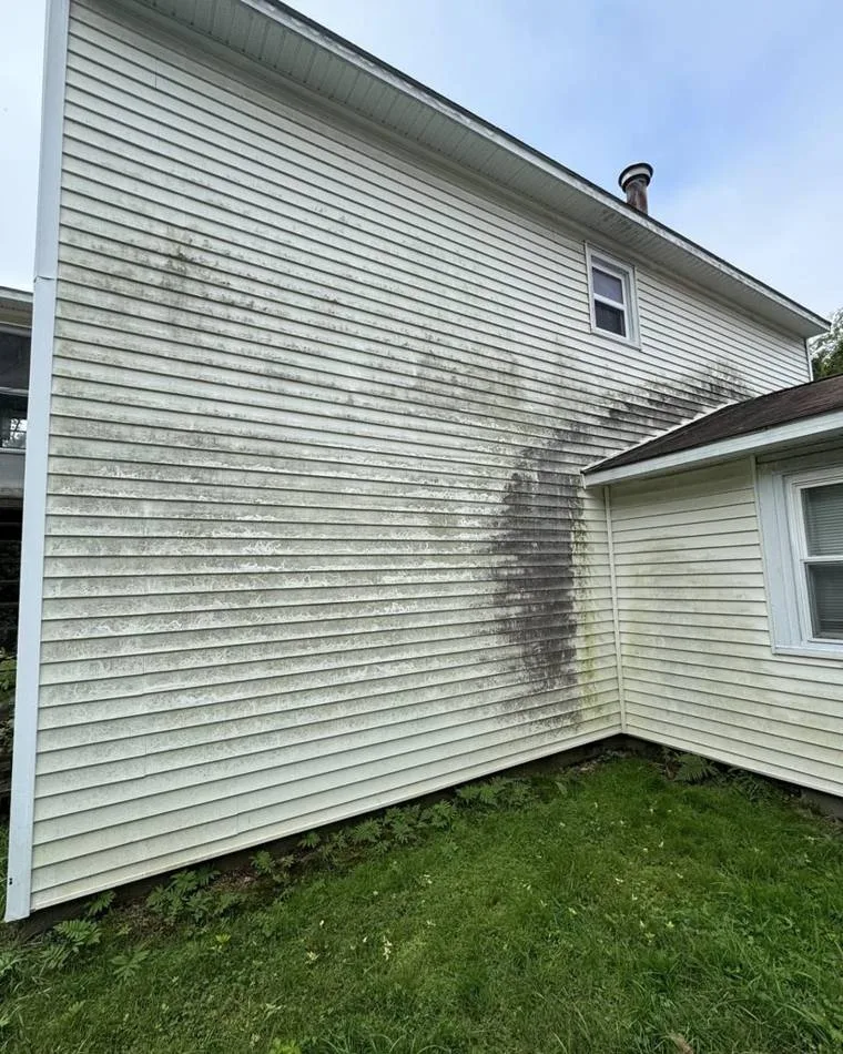 The same siding with organic staining before washing